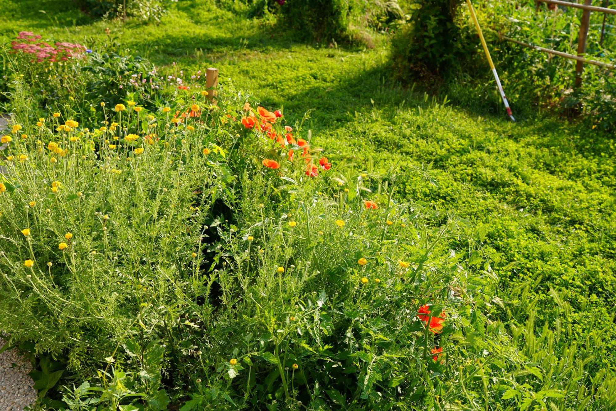 Les Jardins De Felicie Villa Poses Eksteriør billede